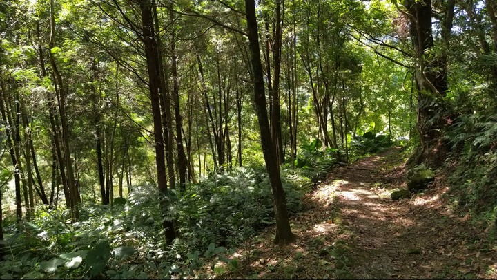 [樂山童盟] [新北石碇] 月扇湖山大岩壁-月扇湖山-四分子古道-大格門古道