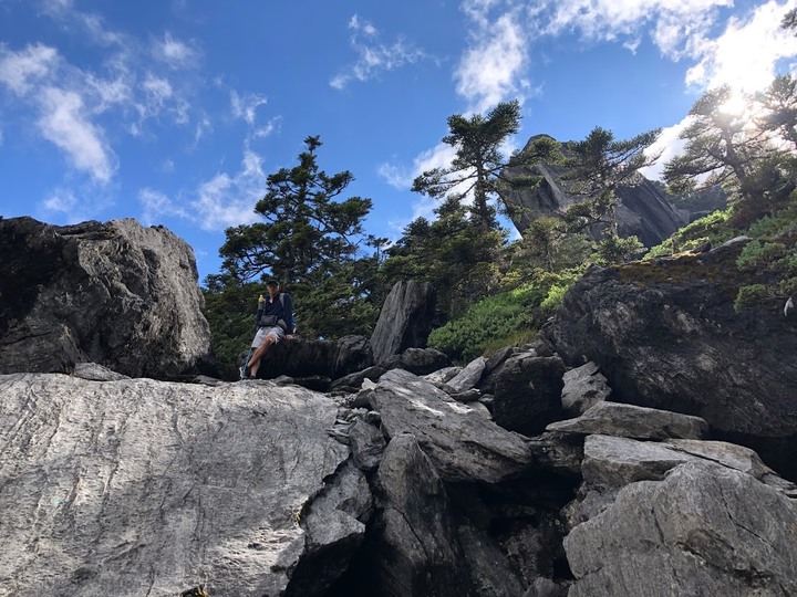 【巴巴山南稜】中央山脈主稜 |四日北一段