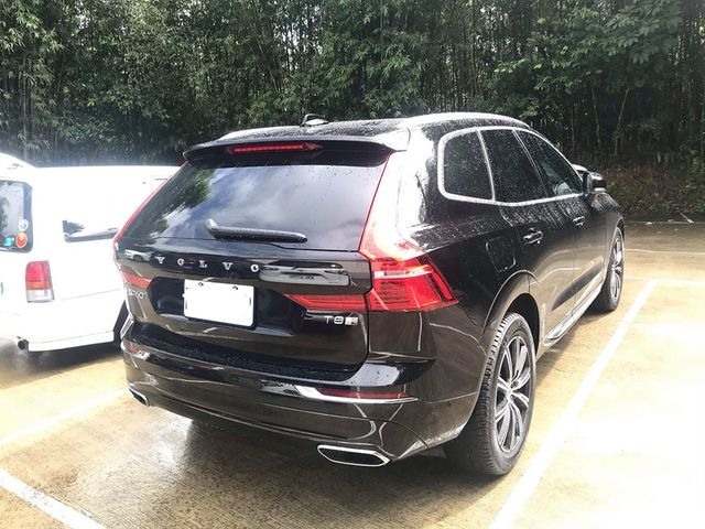 20年式 XC60 T8i不專業購車分享