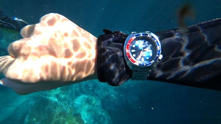戴著Seiko PADI turtle潛水錶去潛水