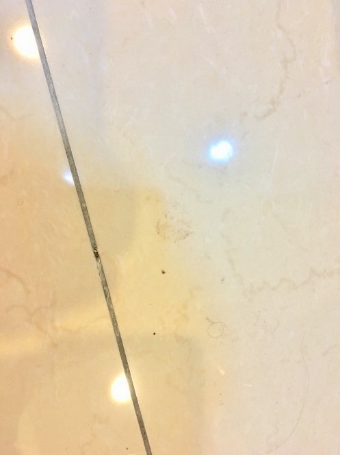 新手媽咪的清潔聰明小幫手雷姬688智慧型掃地機器人開箱實測
