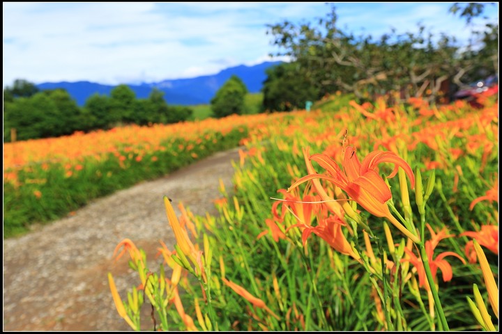 2020.08.21 花東四天三夜之旅