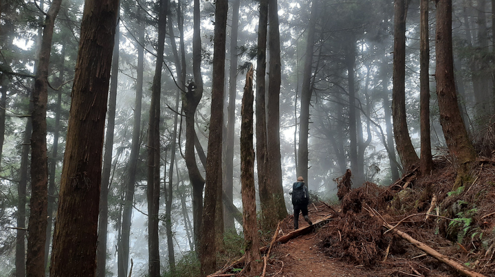 谷關七雄馬崙山 新手初體驗