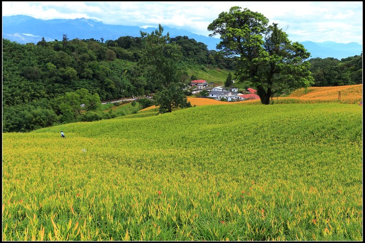2020.08.21 花東四天三夜之旅