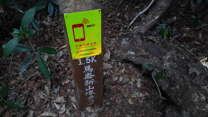 谷關七雄馬崙山 新手初體驗