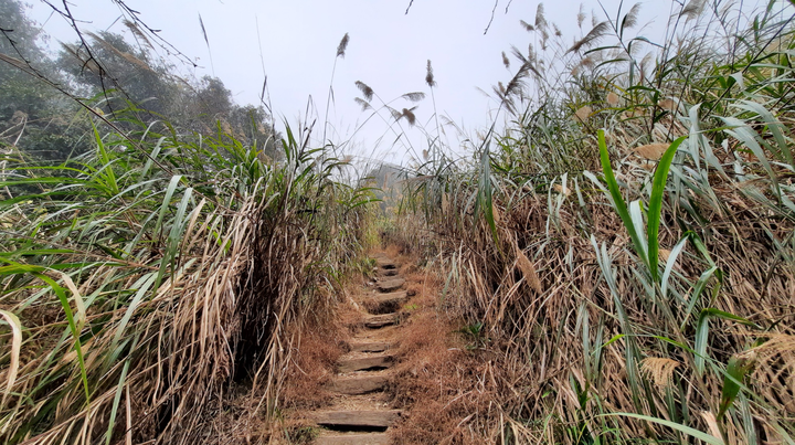 谷關七雄馬崙山 新手初體驗