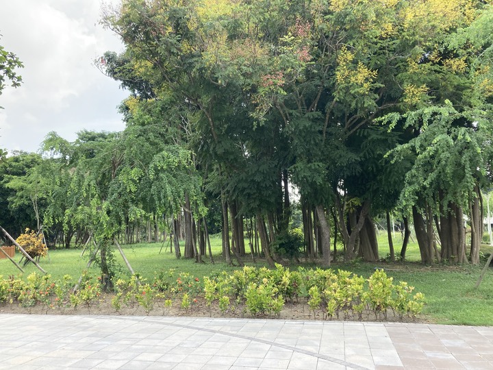 山上區水道博物館 隨手拍
