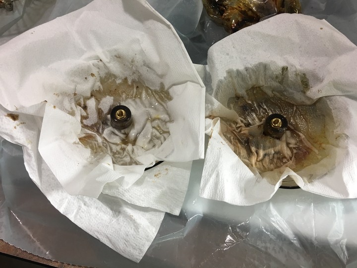 #分享 抽油煙機清潔心得