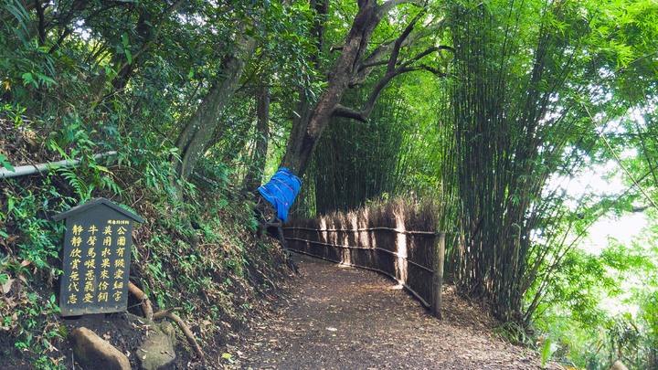 【陽明山環狀步道】橫嶺古道、半嶺步道、湖山國小步道