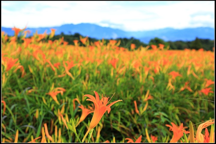 2020.08.21 花東四天三夜之旅