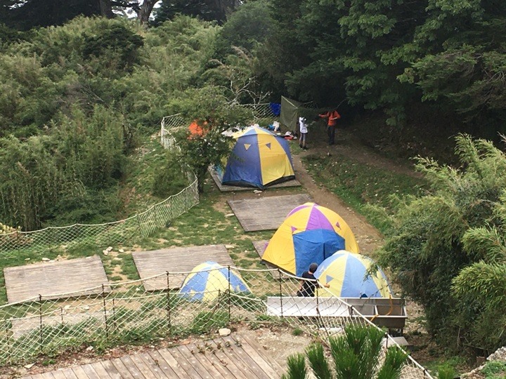 登走霧社能高越，看見金色奇萊(奇萊南華)