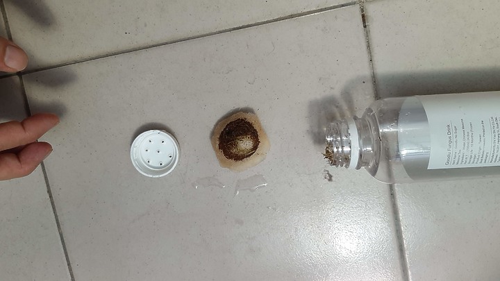 DIY 水族箱過濾器，手動式的，3~5天 過濾一次就可以了。