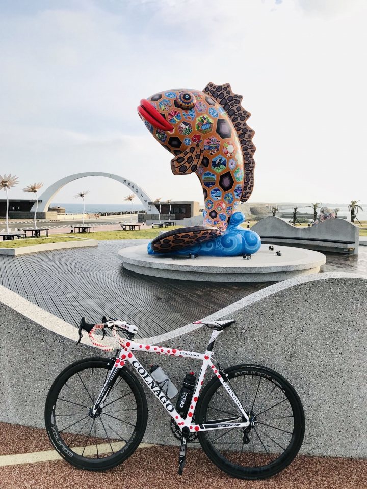 入手夢想中的單車 colnago C59 登山王