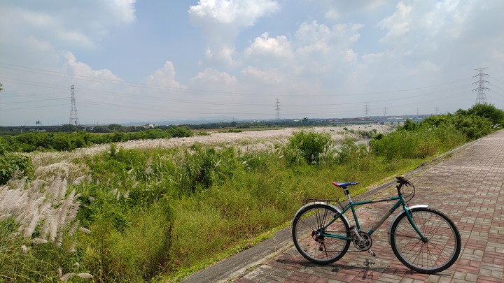 曾文溪善化段河堤風光