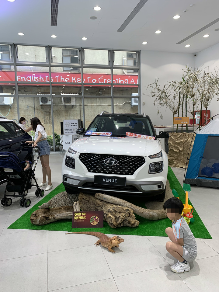 venue試乘遇到蛇!!展間竟然有蛇跟蜥蜴！！