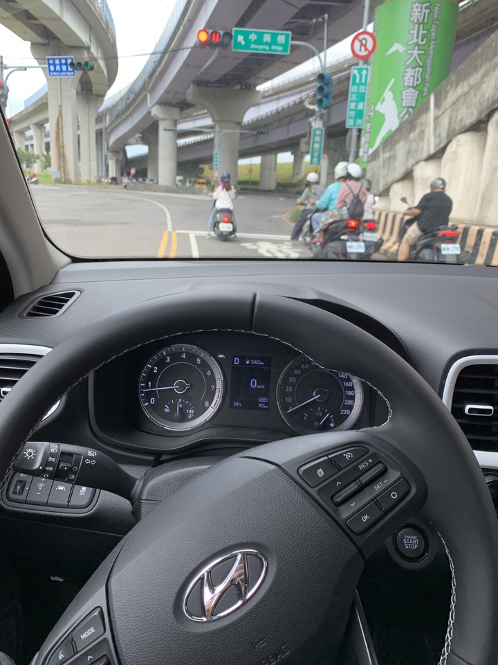 venue試乘遇到蛇!!展間竟然有蛇跟蜥蜴！！