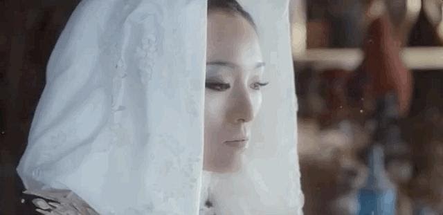 罵「花木蘭」的那麼多，誰有我專業