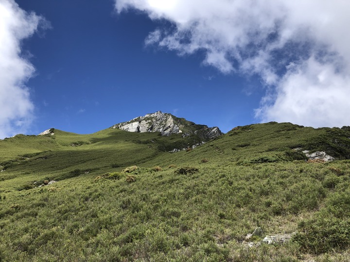 【巴巴山南稜】中央山脈主稜 |四日北一段