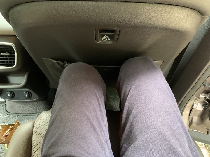 Santa Fe妹子業務到府試乘& LUX版本快拍