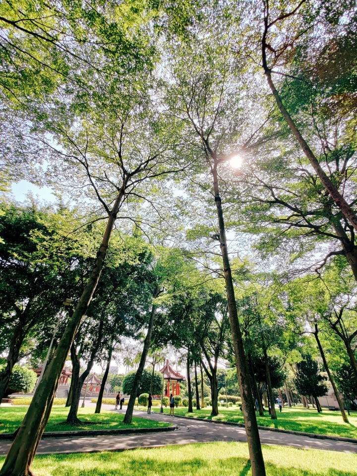 ZF7 Pro 宇曜黑 開箱(文長)