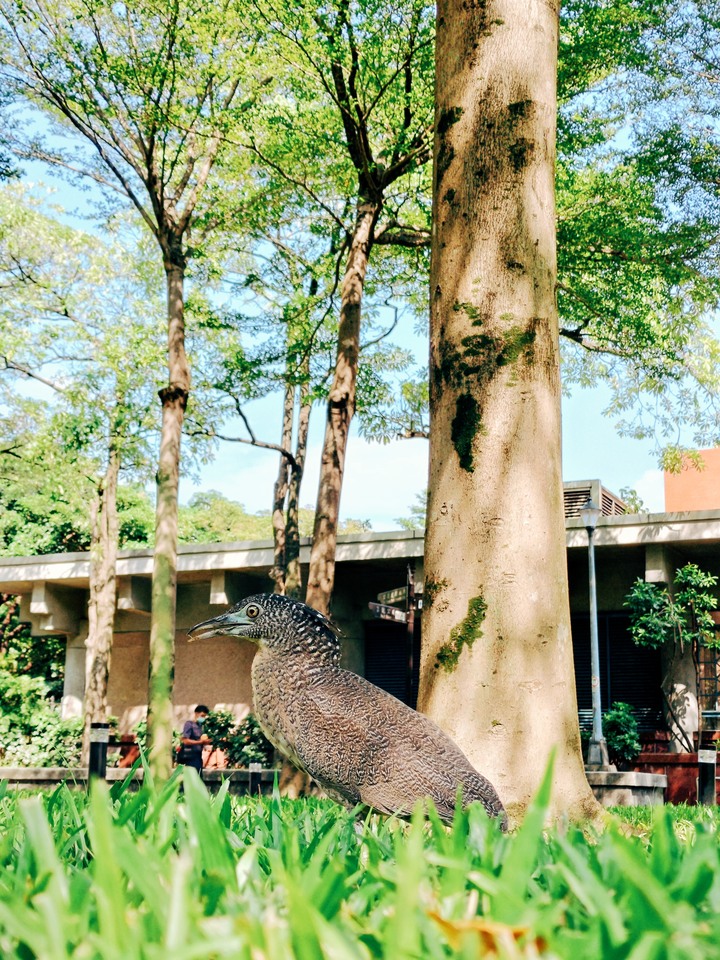 ZF7 Pro 宇曜黑 開箱(文長)