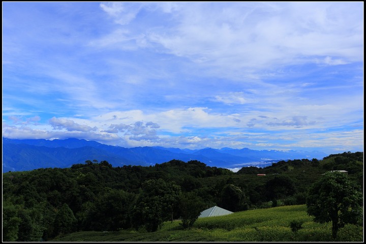 2020.08.21 花東四天三夜之旅