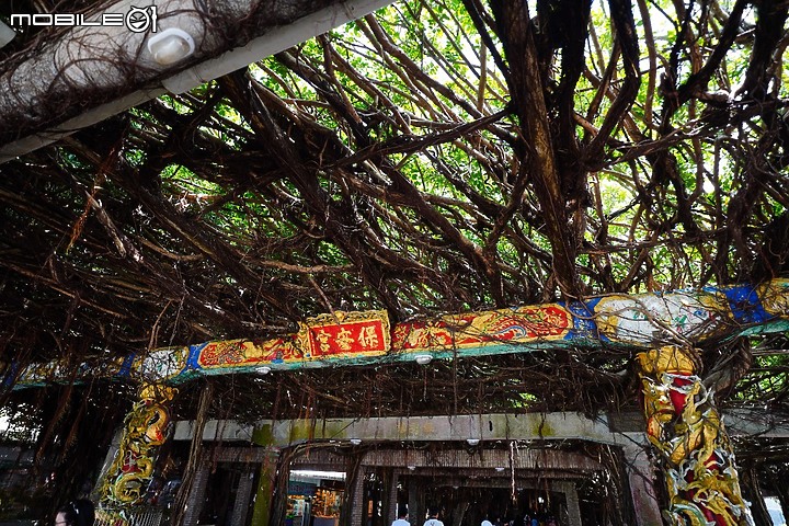 點我看大圖 澎湖 抱歉 我也來報復性旅遊了