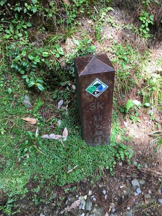 登走霧社能高越，看見金色奇萊(奇萊南華)