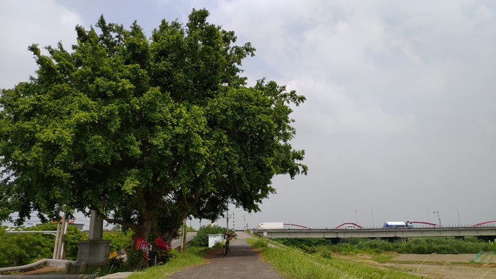 休假日 台南 亂騎一通