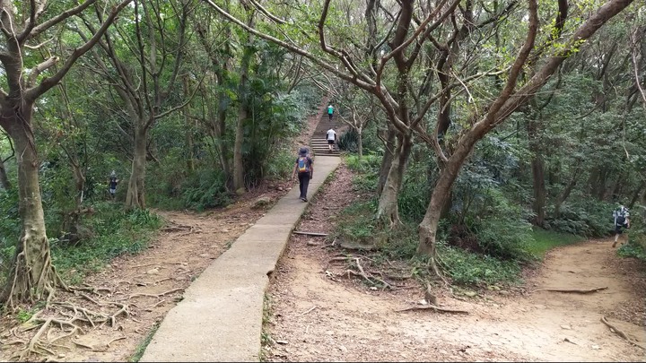 [樂山童盟] [桃園市桃園區] 桃園虎頭山步道(三分山-五分山-停機坪-虎頭山-虎頭山環保公園)