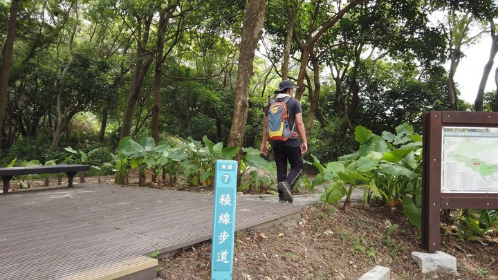 [樂山童盟] [桃園市桃園區] 桃園虎頭山步道(三分山-五分山-停機坪-虎頭山-虎頭山環保公園)