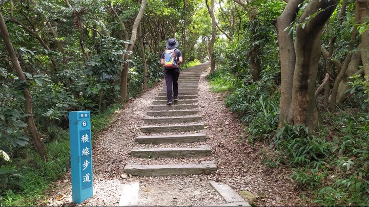 [樂山童盟] [桃園市桃園區] 桃園虎頭山步道(三分山-五分山-停機坪-虎頭山-虎頭山環保公園)