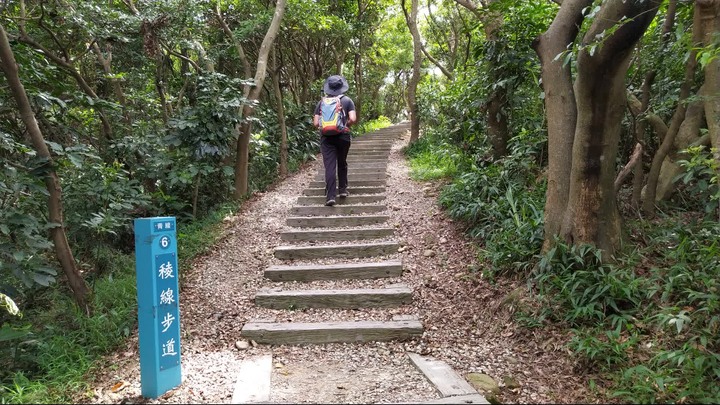 [樂山童盟] [桃園市桃園區] 桃園虎頭山步道(三分山-五分山-停機坪-虎頭山-虎頭山環保公園)