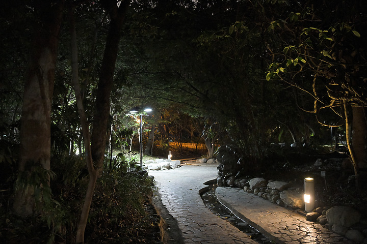 iPhone 12 Pro 夜拍對比 Nikon D850 夜拍直出