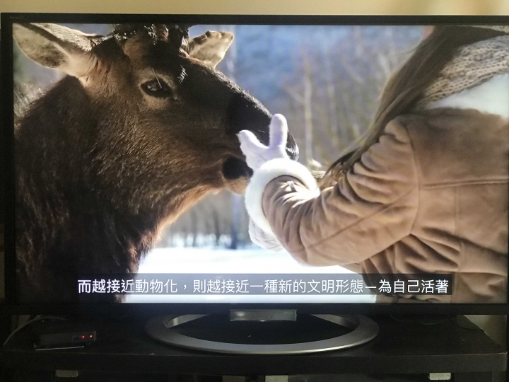 就算房產泡沫化，少子化也是未來的趨勢_為自己活著