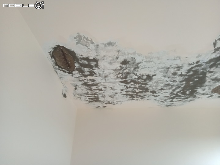 (分享) 透天老屋之天花板壁癌處理....