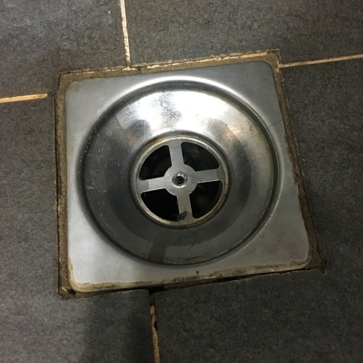 地排水管防臭裝置