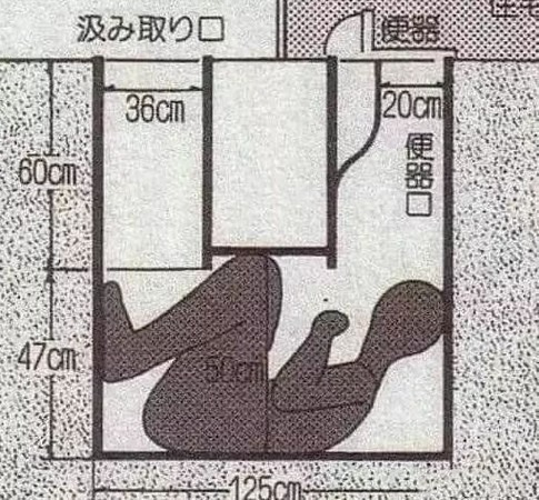 原來日本懸案--便池怪死案---是虛構的