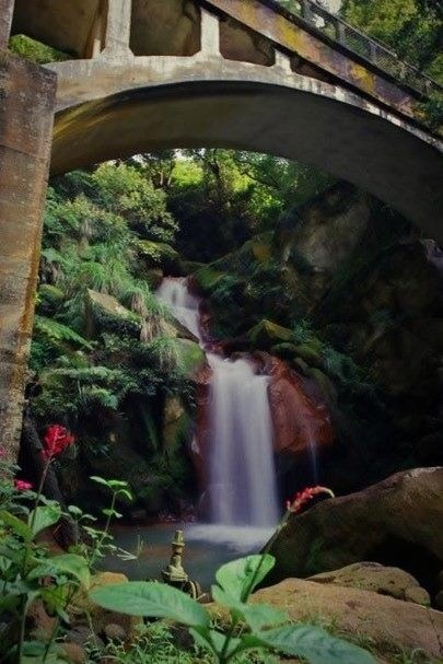 【北投】亞洲第一湧泉!陽明山「藍寶石泉」絕美湛藍湧泉首次開放!