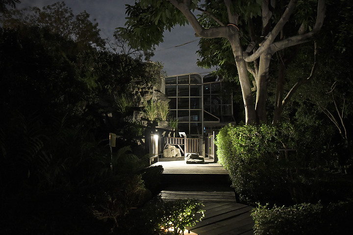 iPhone 12 Pro 夜拍對比 Nikon D850 夜拍直出