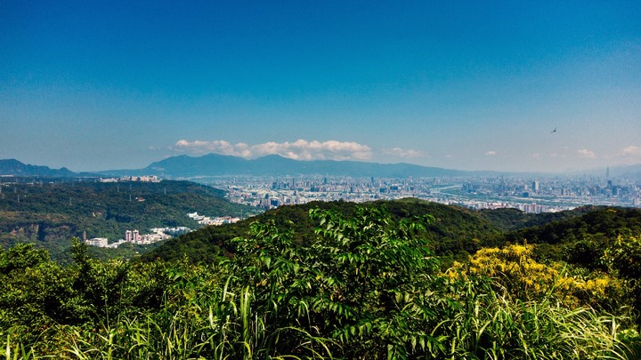 【小百岳405高地】連走大同山、青龍嶺、大棟山步道半環型路線