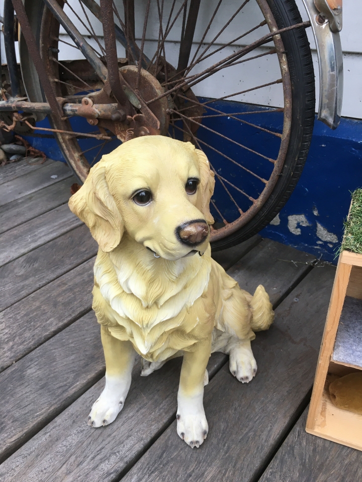 20吋大電池電動小折內灣半日遊