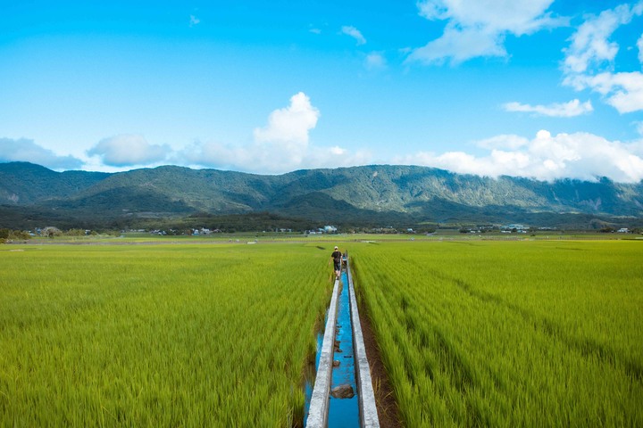 點我看大圖 告別夏天-花東映像之旅