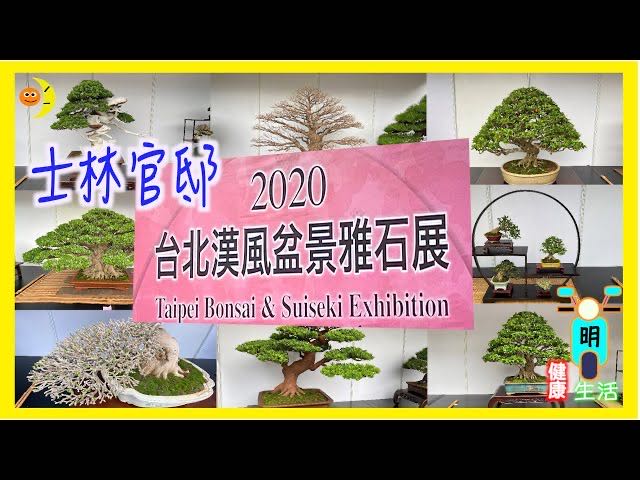 士林官邸2020盆景雅石展