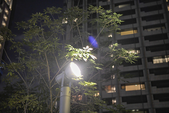 iPhone 12 Pro 夜拍對比 Nikon D850 夜拍直出