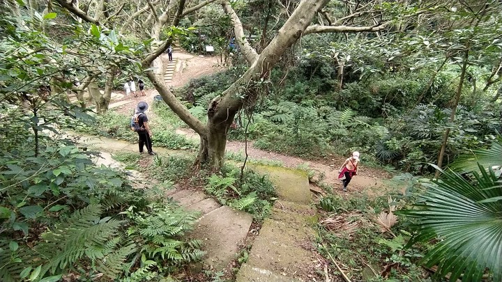 [樂山童盟] [桃園市桃園區] 桃園虎頭山步道(三分山-五分山-停機坪-虎頭山-虎頭山環保公園)