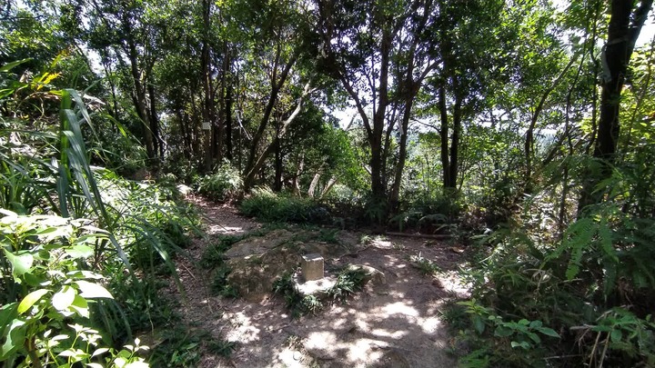 [樂山童盟] [台北內湖] 內溝溪生態步道-明舉山步道-內湖親水步道