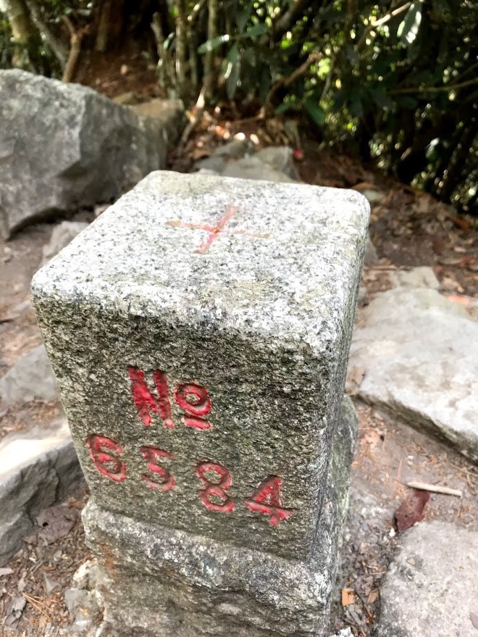 逆走谷關七雄之屋東縱走