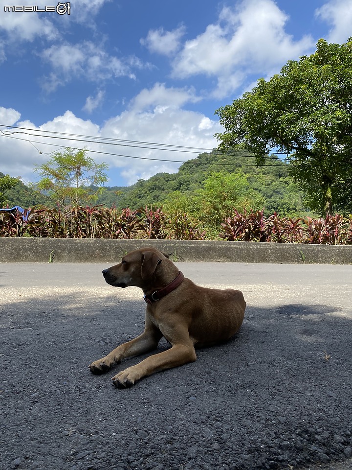 [不負責任重機路]中秋賞花賞月賞秋意濃