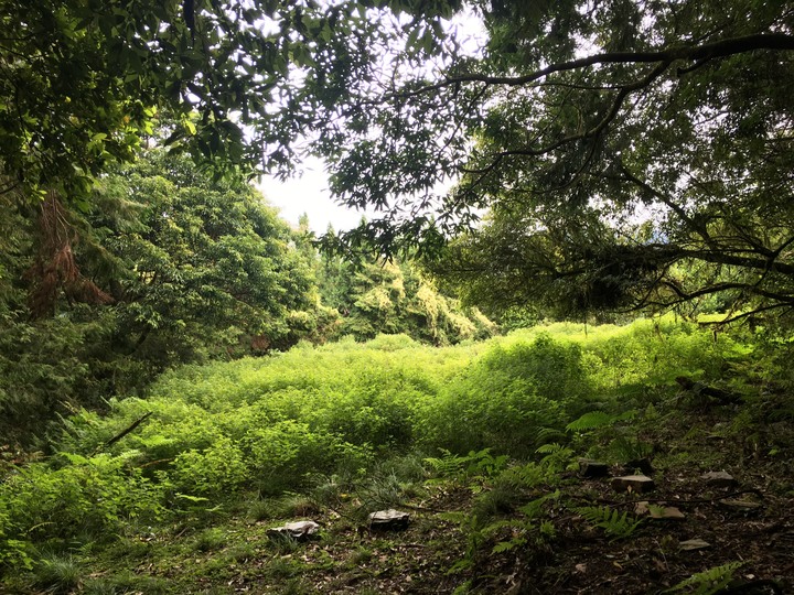 【日治八通關古道越嶺】| 介於傳統與現代之間的歷史經緯、消逝中的華巴諾駐在所—標題出自《MIT台灣誌》